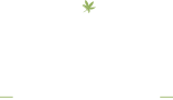 Belvosur